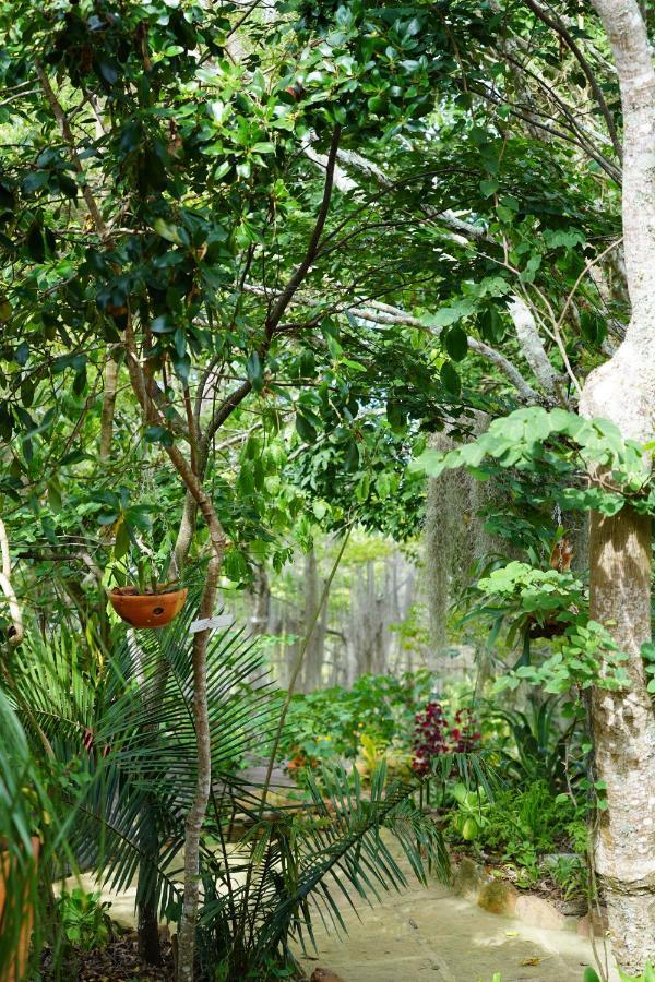 El Paraiso Posada Finca San Vicente 바리차라 외부 사진