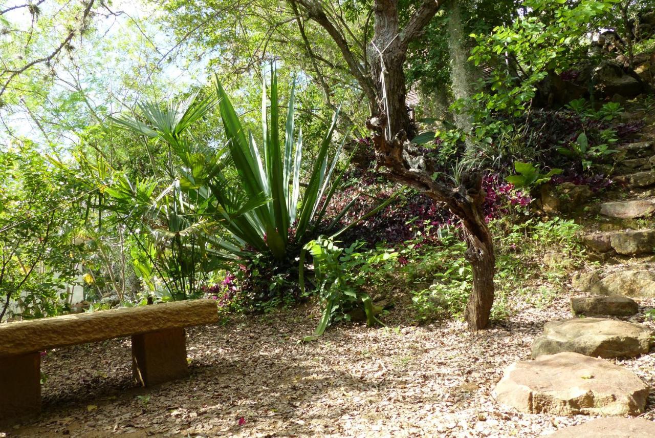 El Paraiso Posada Finca San Vicente 바리차라 외부 사진